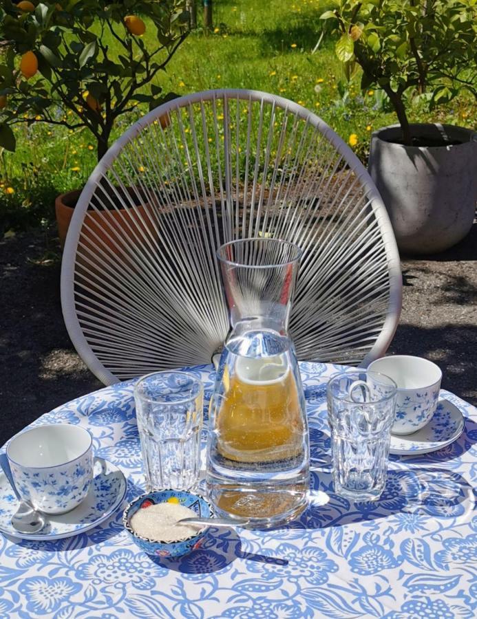 Ferienwohnungen Elise und Miro Bad Reichenhall Exterior foto